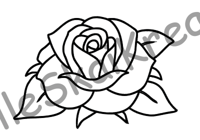 Paint and Sip Rose Canvas Set
