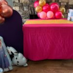 Frozen Party